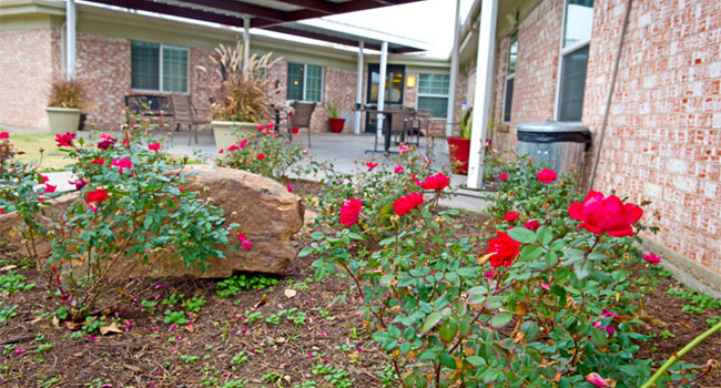 the terrace at denison